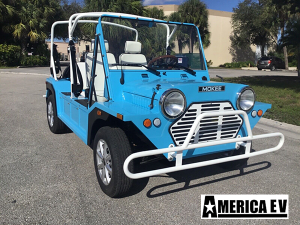 affordable golf cart rental, golf cart rent merritt island, cart rental merritt island