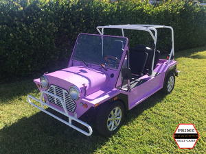 affordable golf cart rental, golf cart rent merritt island, cart rental merritt island