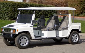 affordable golf cart rental, golf cart rent merritt island, cart rental merritt island